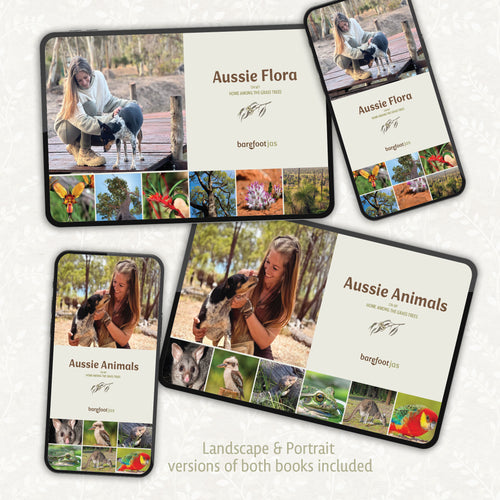 BUNDLE: Aussie FLORA & FAUNA on my home among the Grass Trees