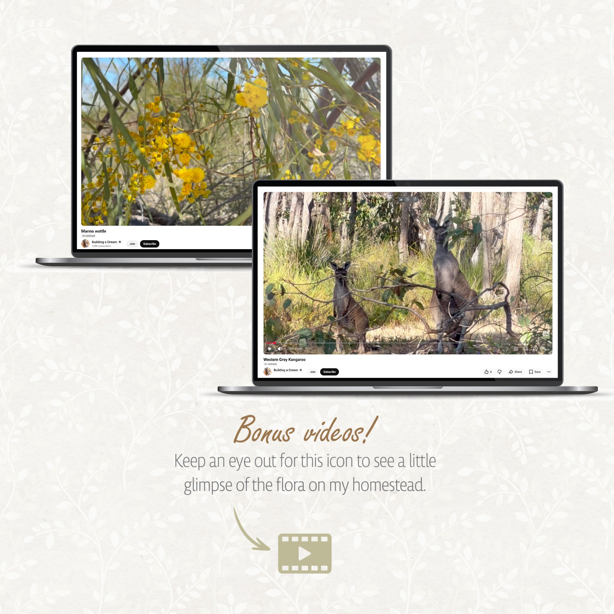 BUNDLE: Aussie FLORA & FAUNA on my home among the Grass Trees