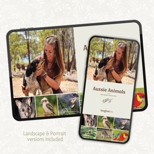 Aussie FAUNA on my home among the Grass Trees