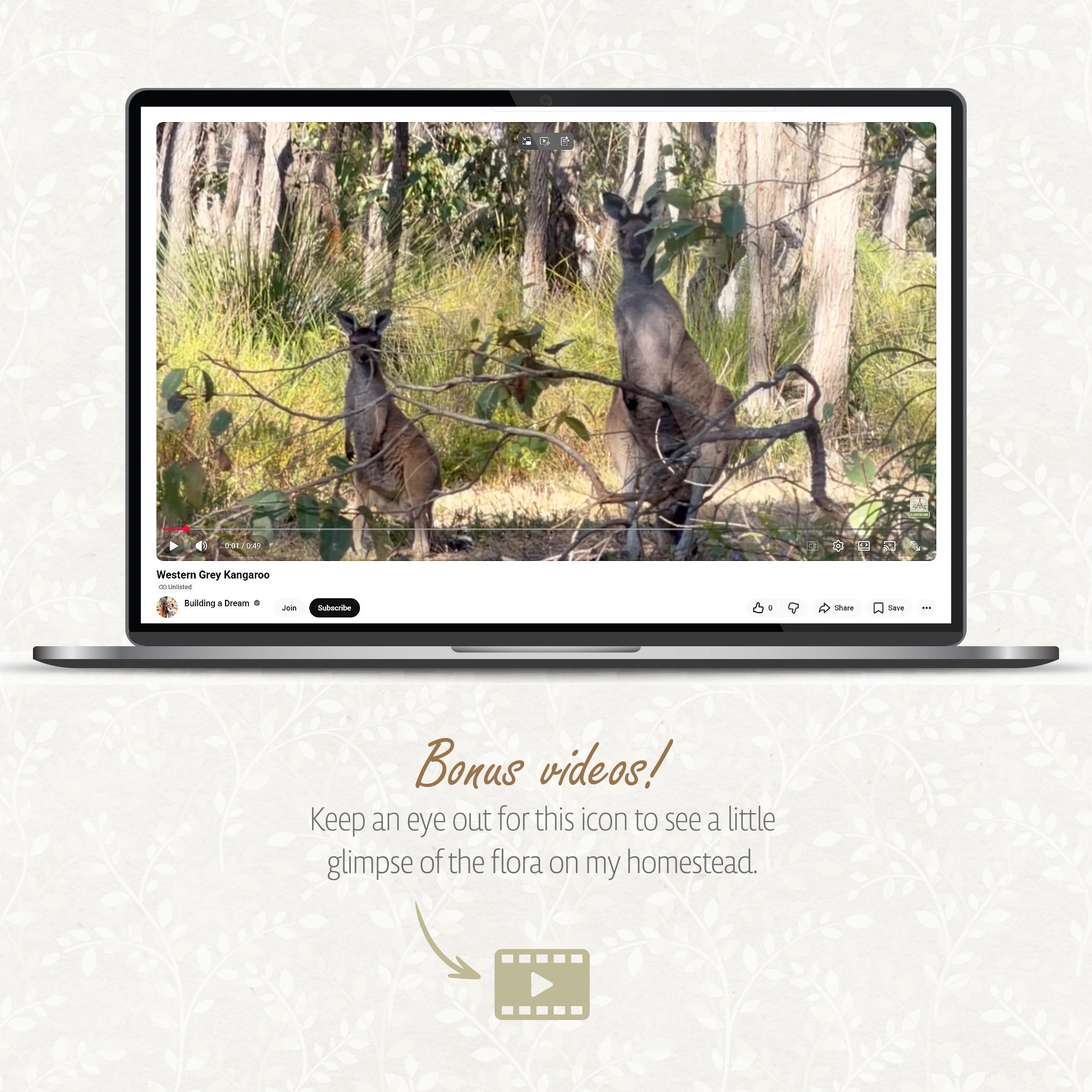 Aussie FAUNA on my home among the Grass Trees