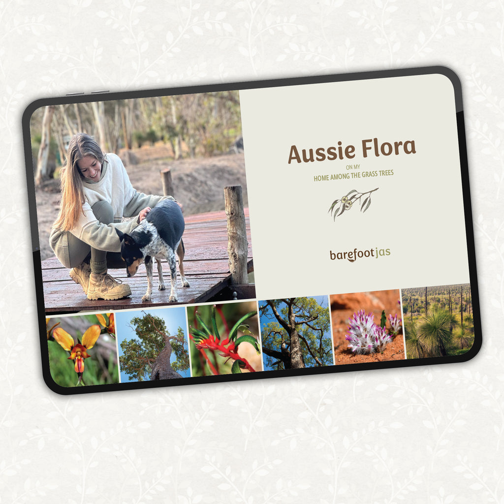 Aussie FLORA on my home among the Grass Trees