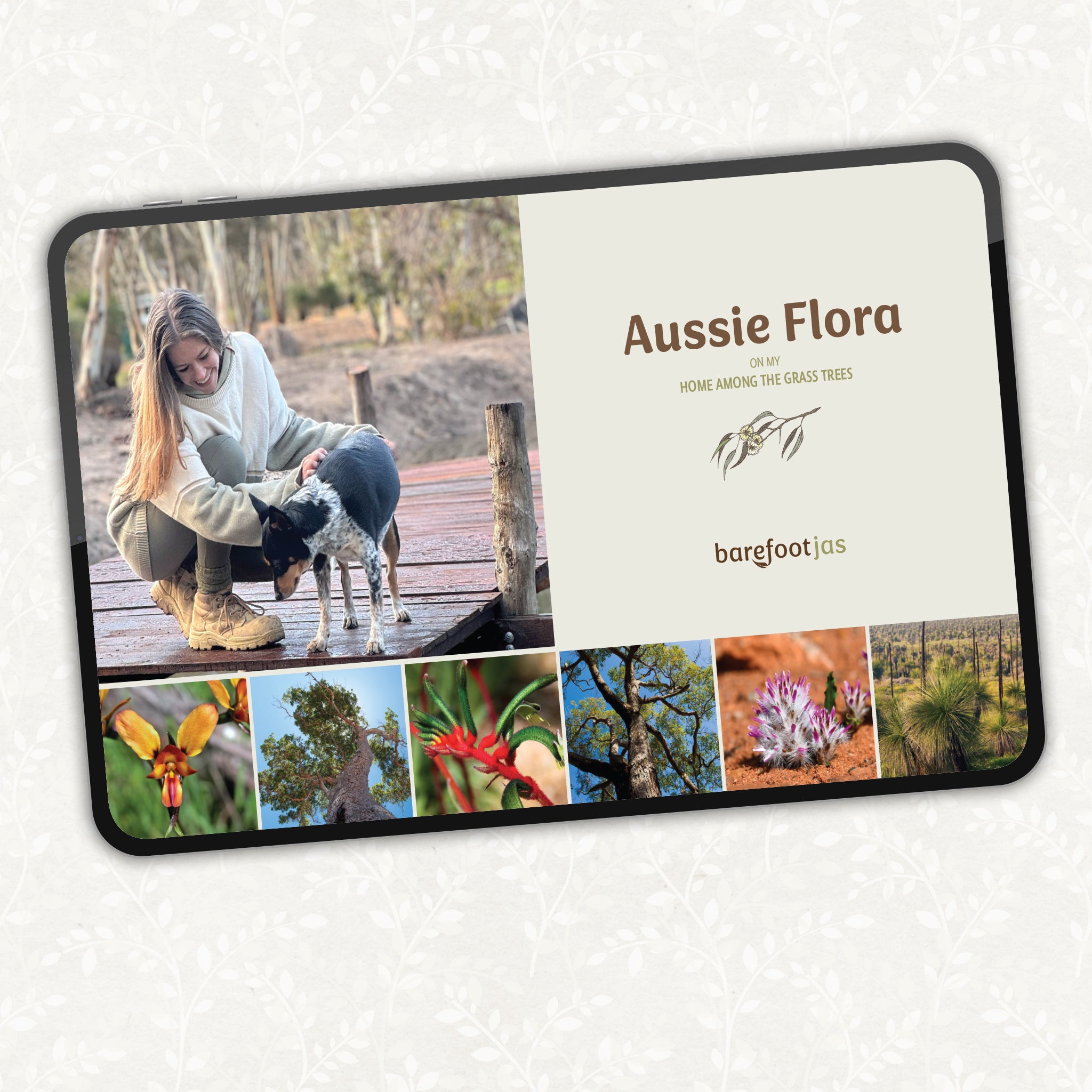 Aussie FLORA on my home among the Grass Trees