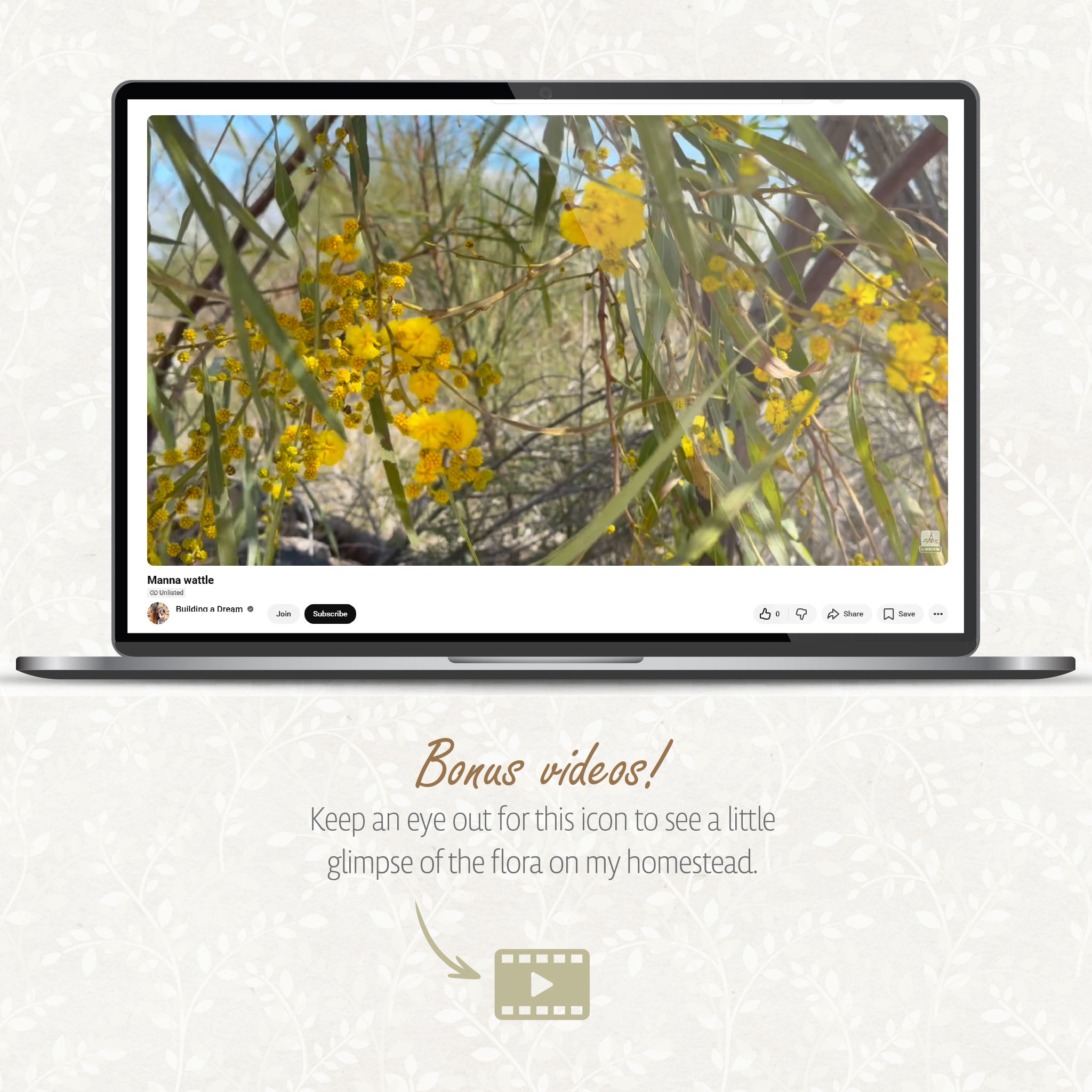 Aussie FLORA on my home among the Grass Trees